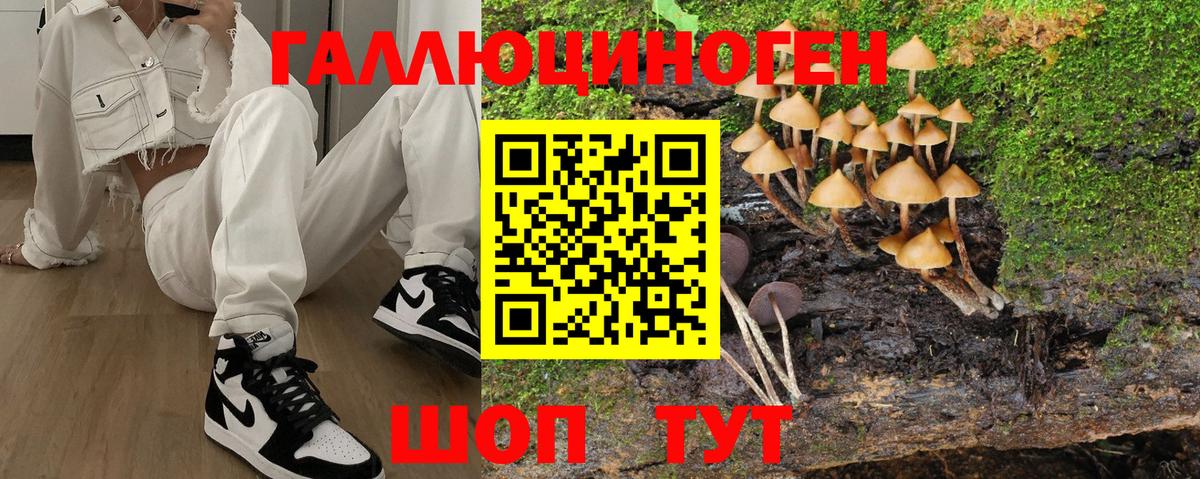 Симферополь  Псилоцибиновые грибы прущие грибы  Вход с VPN  Галлюциногенные грибы Magic Shrooms 