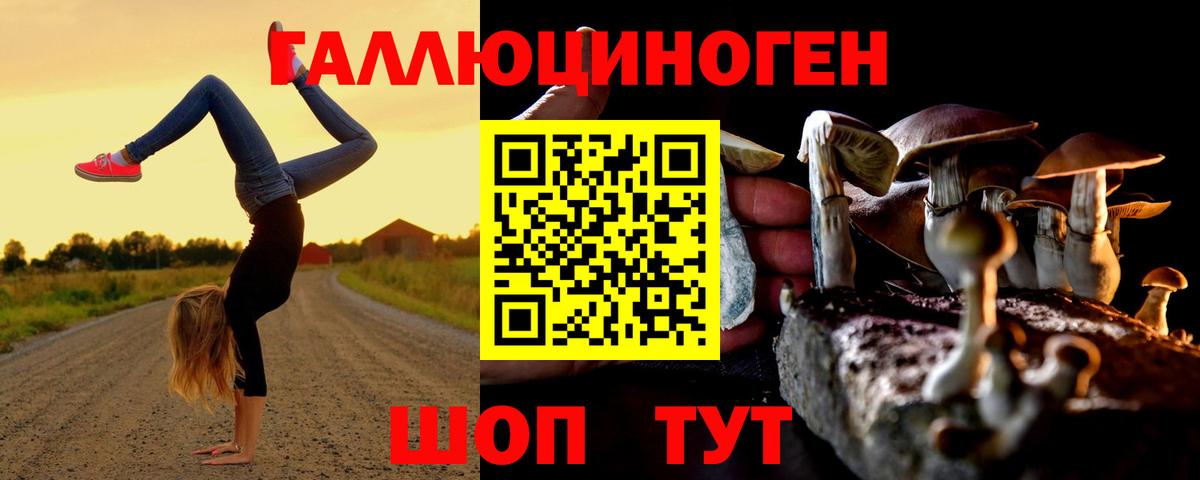 Галлюциногенные грибы мицелий Симферополь